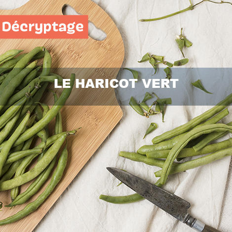 Décryptage : le haricot vert Décryptage : le haricot vert
