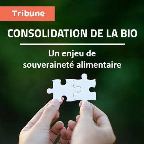 Tribune : Consolidation de la bio, un enjeu de souveraineté alimentaire Tribune : Consolidation de la bio, un enjeu de souveraineté alimentaire